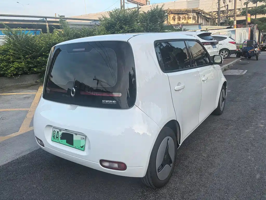 Ora White Cat 2021