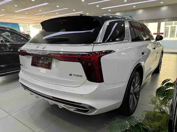 Hongqi E-HS9 2021