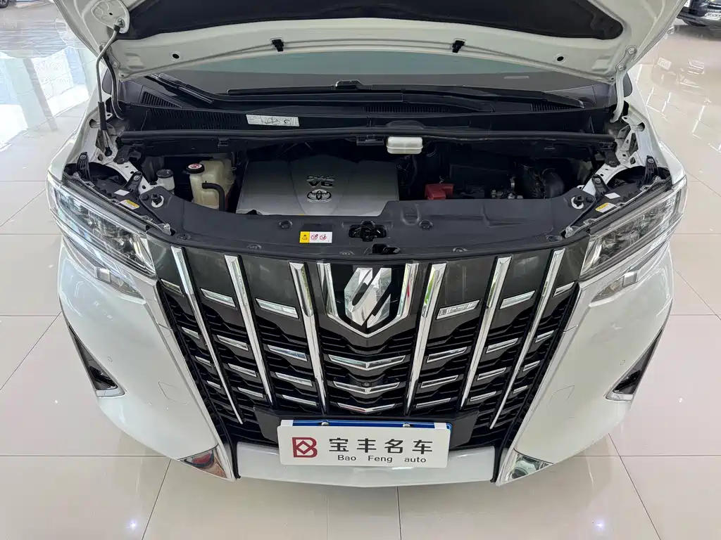 Toyota Alphard 2019 — фото 20