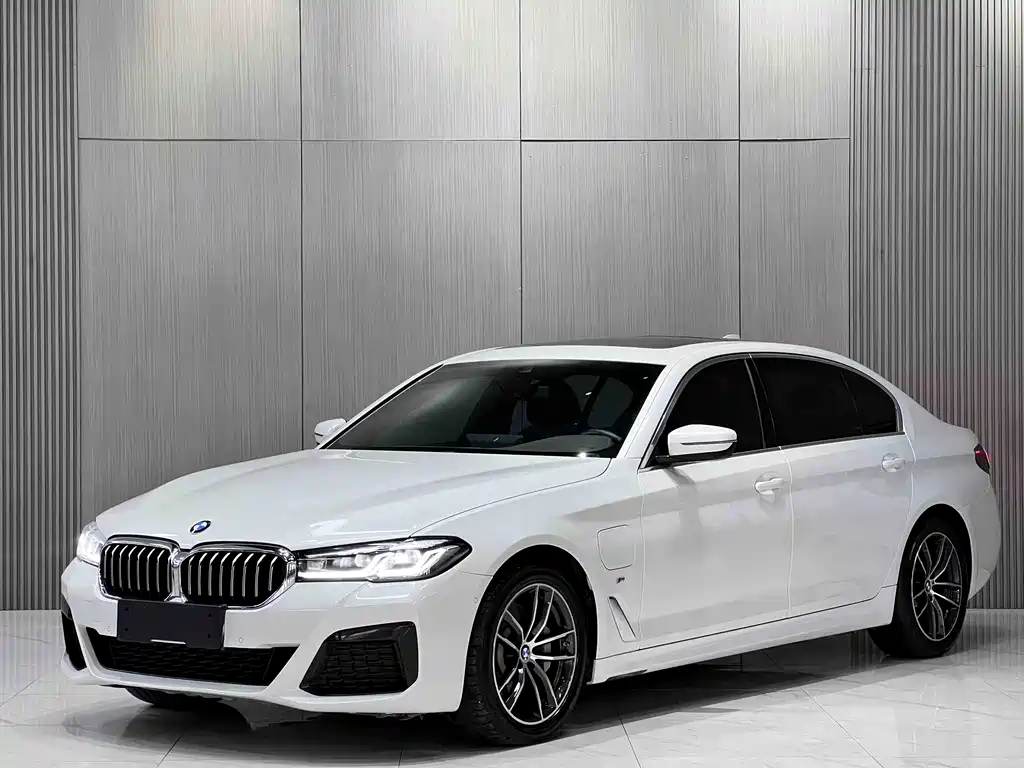 BMW 5 Series New Energy 2021 — фото 1