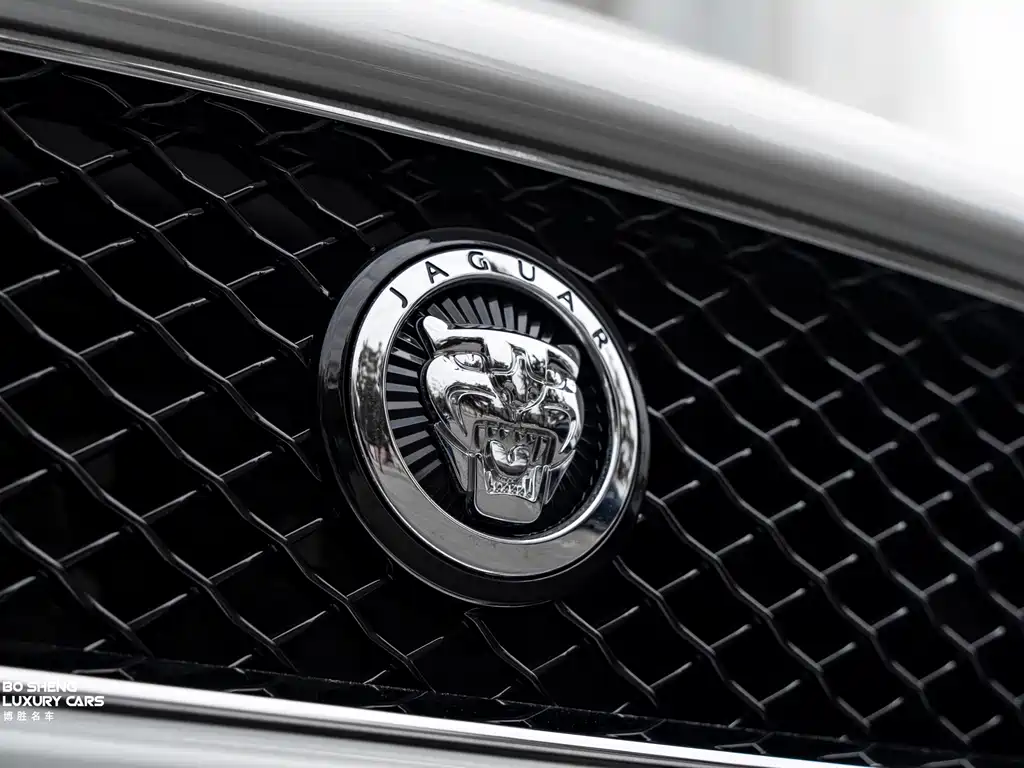 Jaguar XK 2012 — фото 14