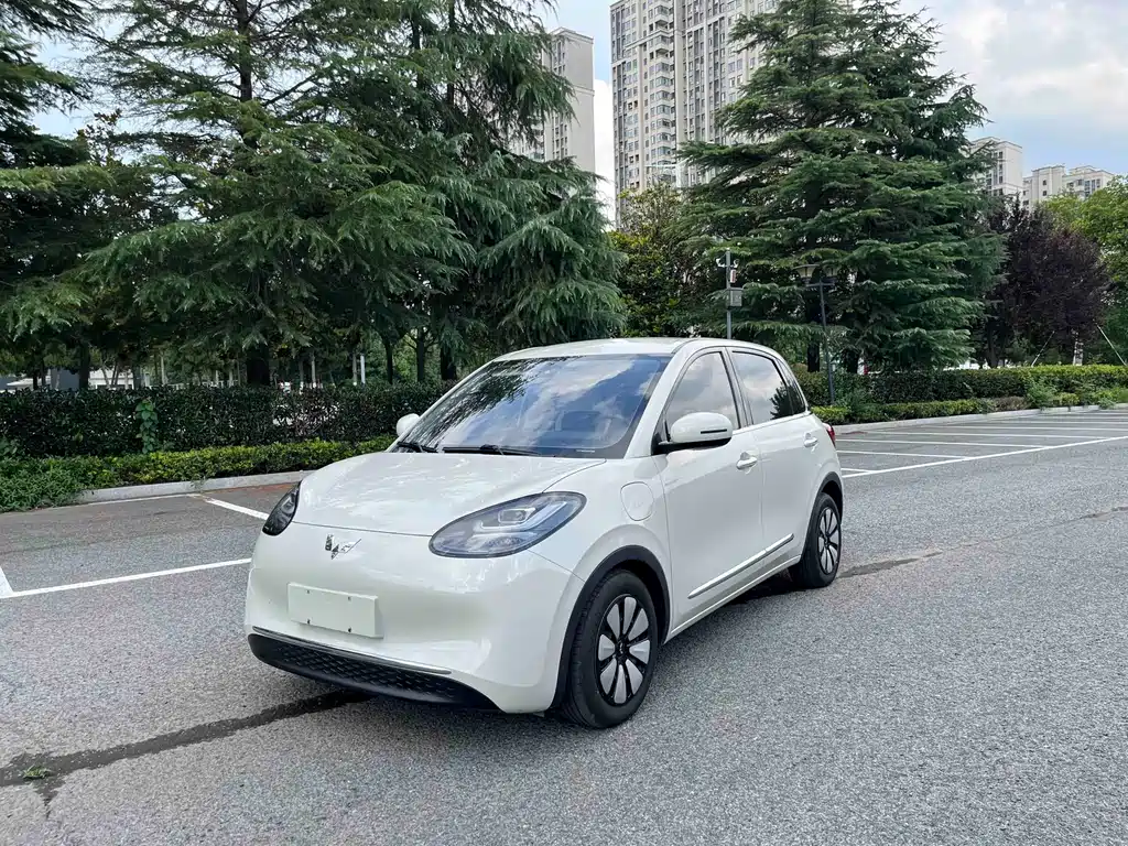 Wuling Bingo 2023