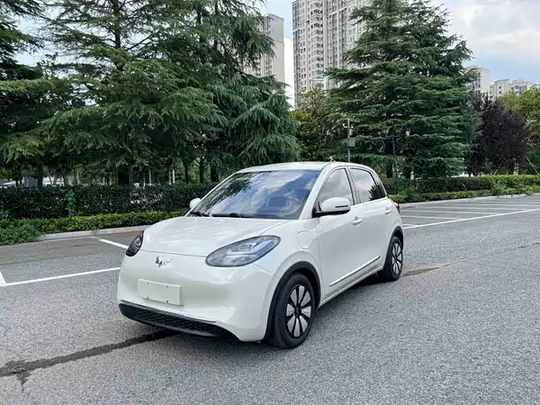 Wuling Bingo 2023