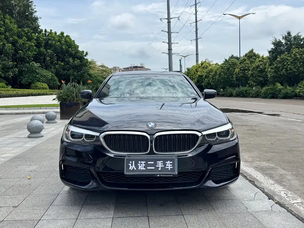 BMW 5 Series 2020