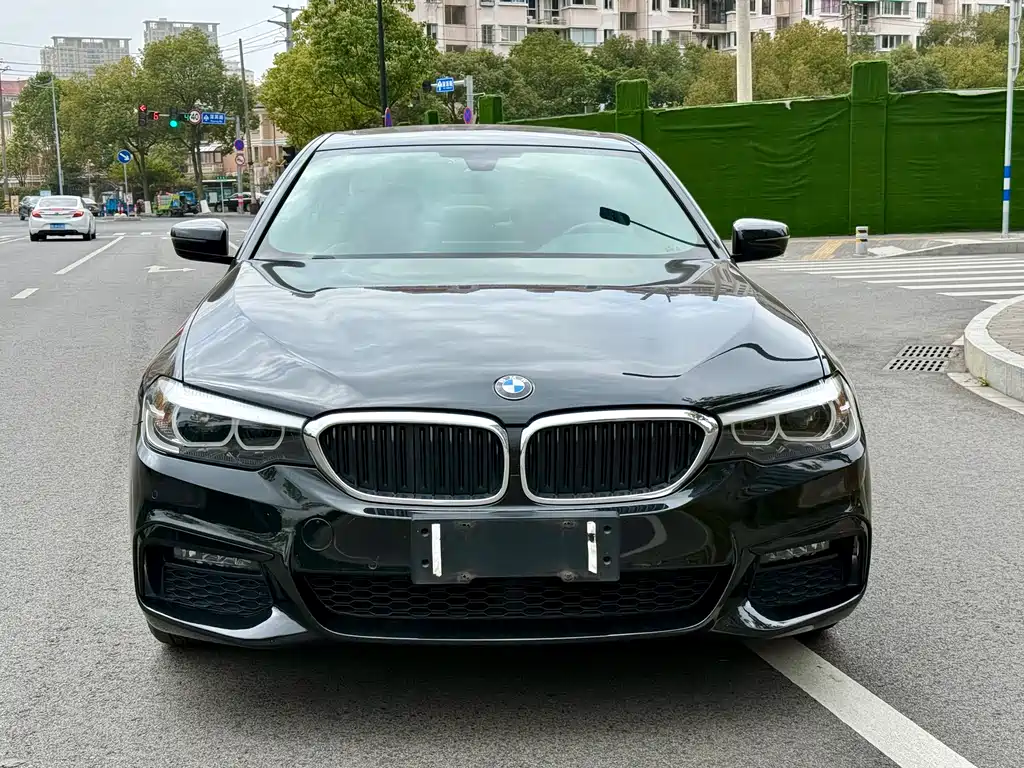BMW 5 Series 2019 — фото 3