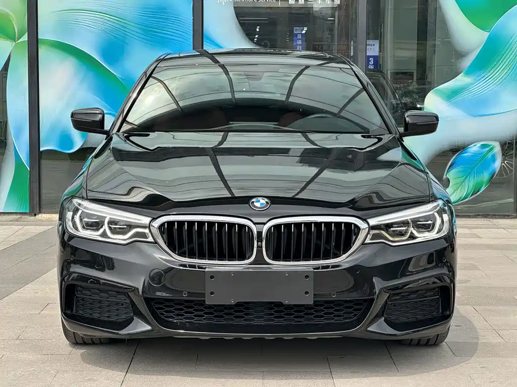 BMW 5 Series 2019
