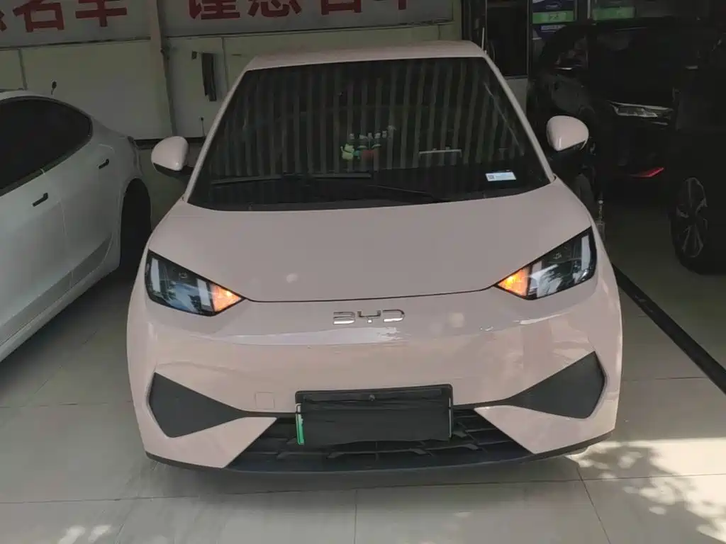 BYD Seagull 2025