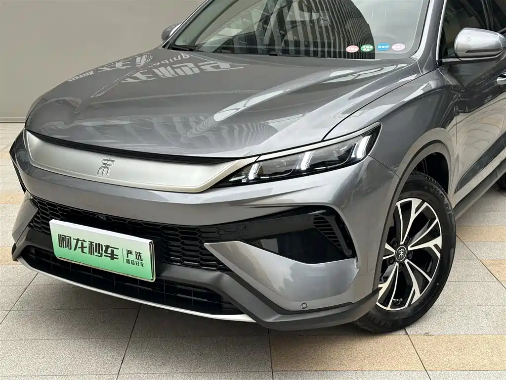 BYD Pro New Energy 2024 — фото 2