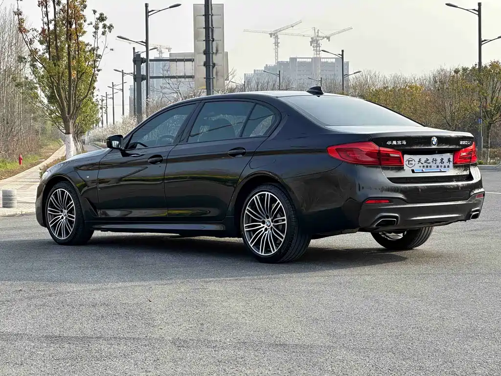 BMW 5 Series 2019 — фото 19