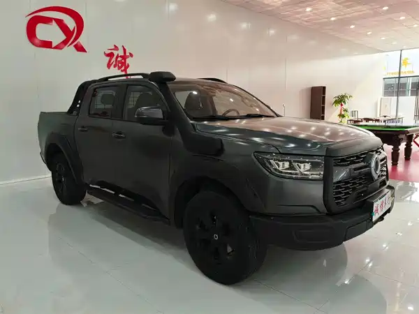 Great Wall Poer 2024