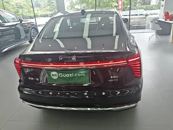Hongqi H5 2024