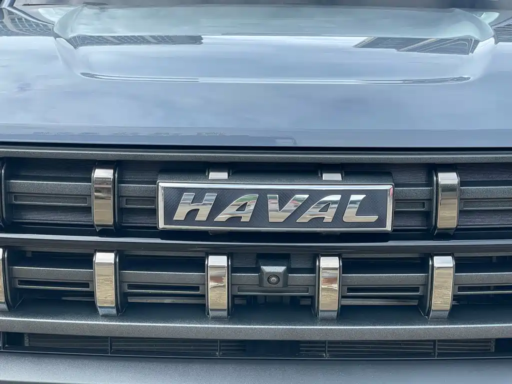 Haval Cool Dog 2022 — фото 4
