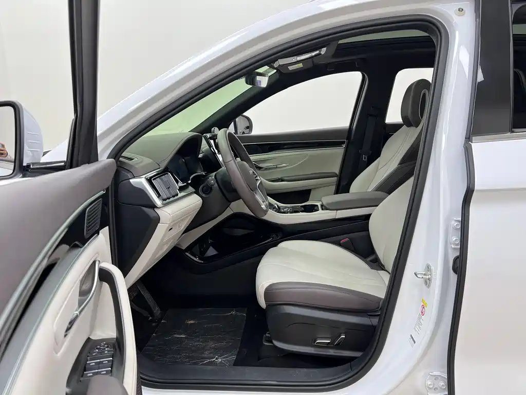 BYD PLUS New Energy 2024 — фото 12