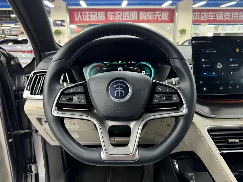 BYD PLUS New Energy 2023 — фото 10