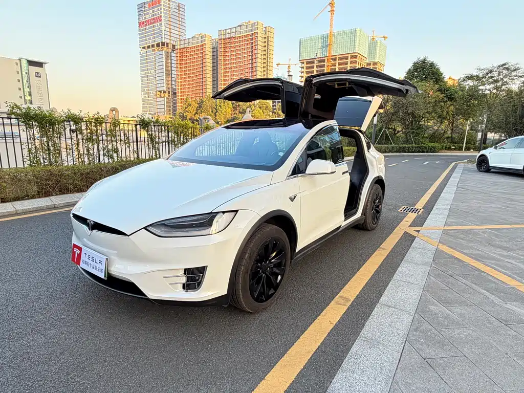 Tesla Model X 2020 — фото 20