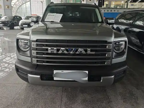 Haval Raptors New Energy 2024