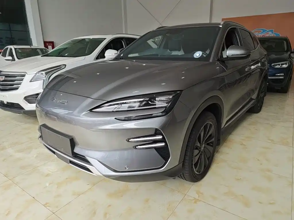 BYD Song PLUS New Energy 2024 — фото 2
