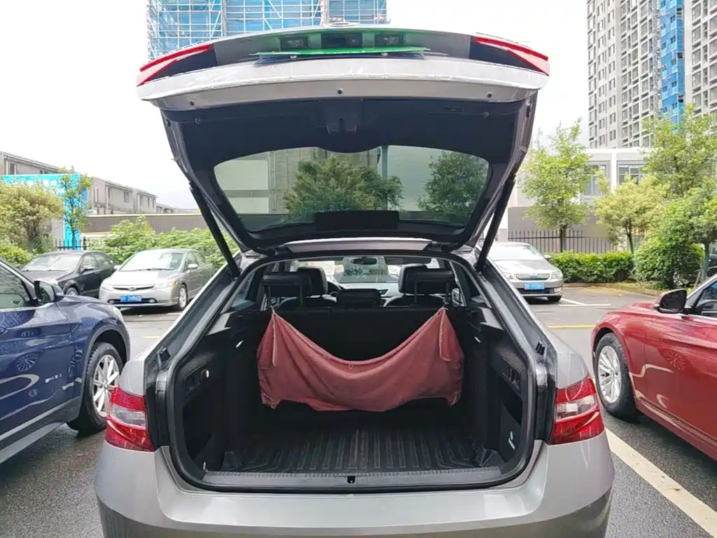 Skoda Speedy 2018 — фото 19