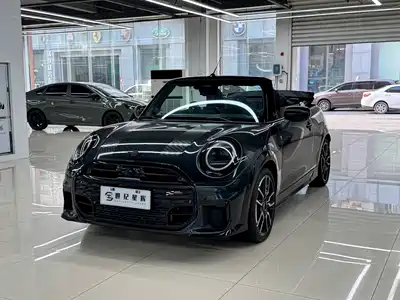 MINI MINI 2025
