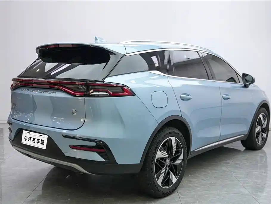 BYD Tang New Energy 2024 — фото 17