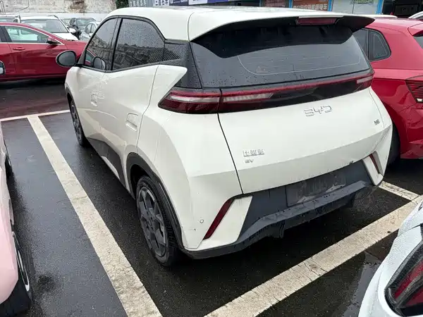 BYD Seagull 2024