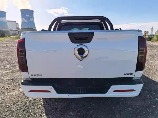 Great Wall Poer 2021
