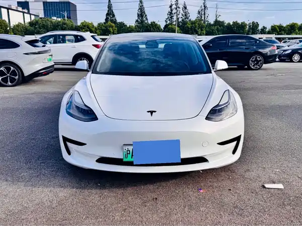 Tesla Model 3 2021