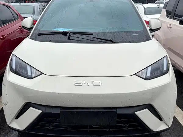 BYD Seagull 2024