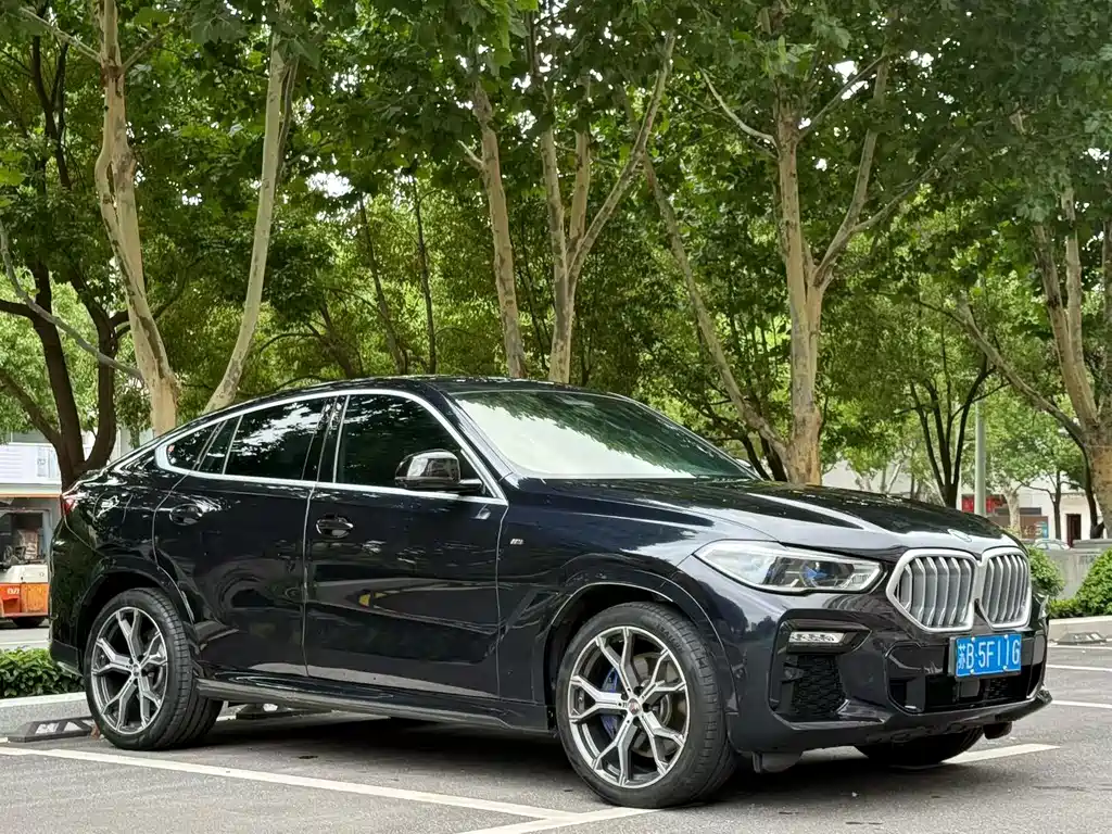 BMW X6 2021