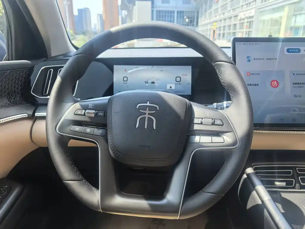 BYD Pro New Energy 2025 — фото 13