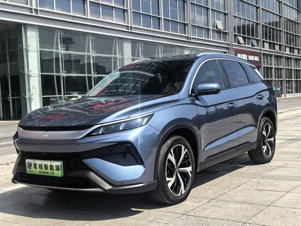 BYD Pro New Energy 2025 — фото 1