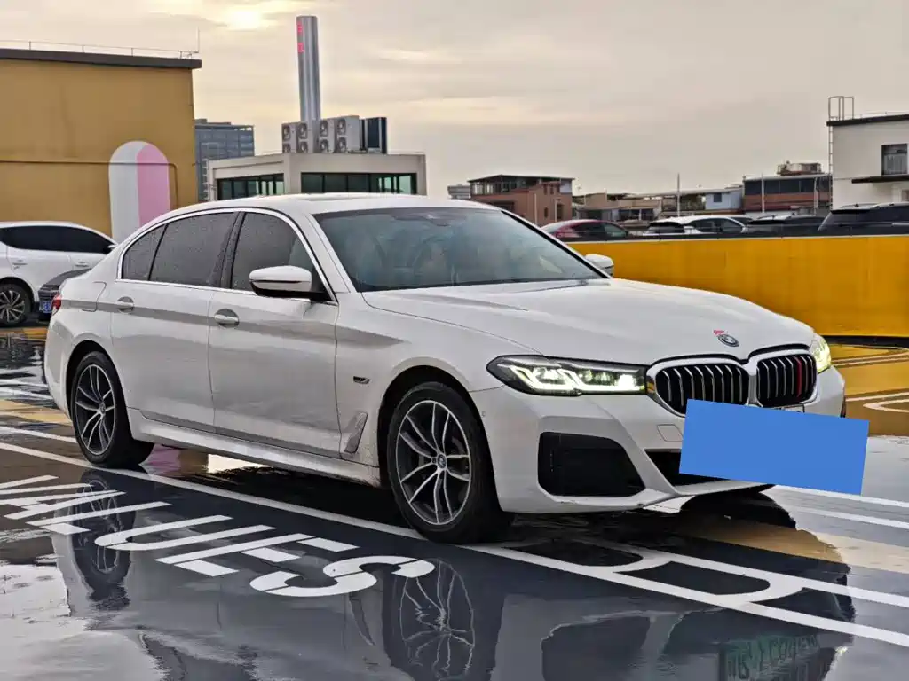 BMW 5 Series New Energy 2021