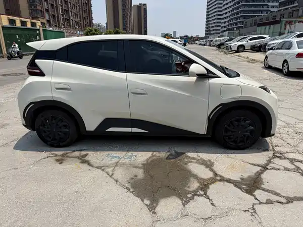 BYD Seagull 2024