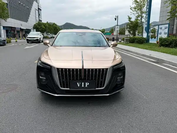 Hongqi H5 2024