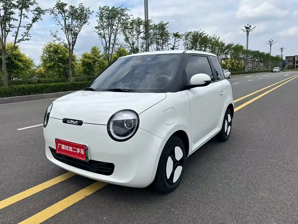 Qiyuan Lumin 2024