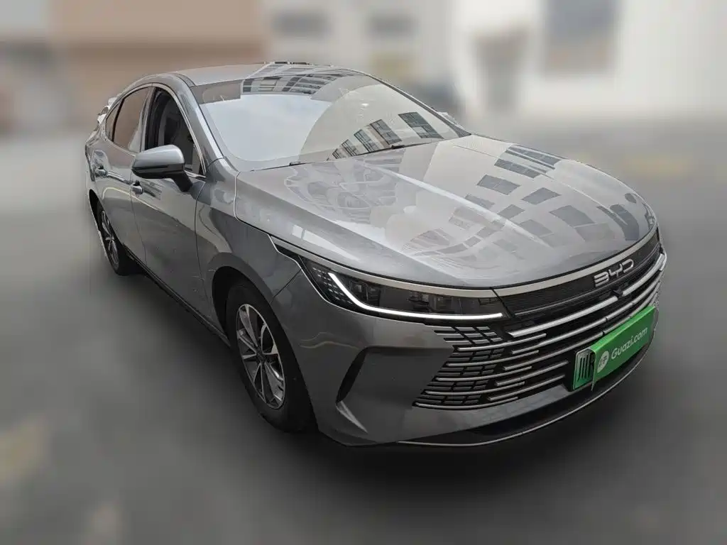 BYD Destroyer 05 2024 — фото 3