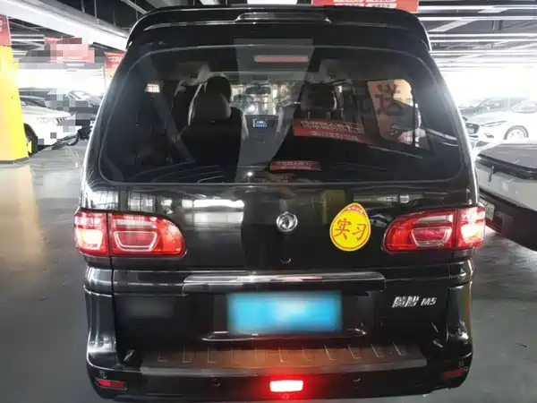 Dongfeng Lingzhi 2020