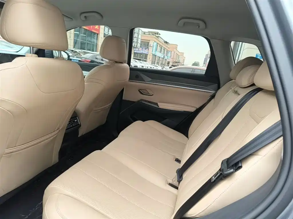 BYD Pro New Energy 2024 — фото 17