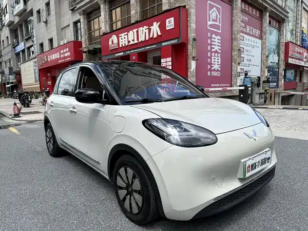 Wuling Bingo 2024
