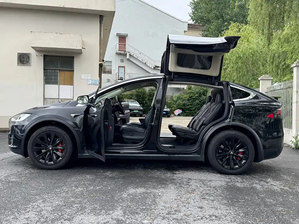 Tesla Model X 2019 — фото 16