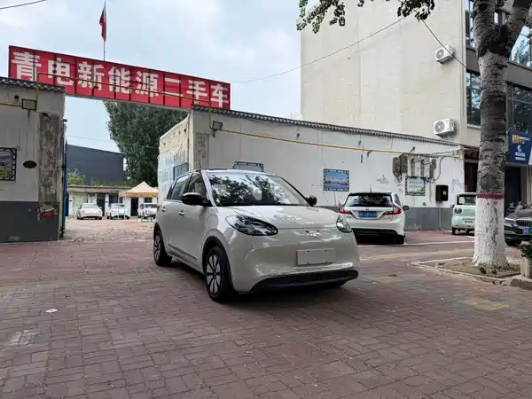 Wuling Bingo 2024