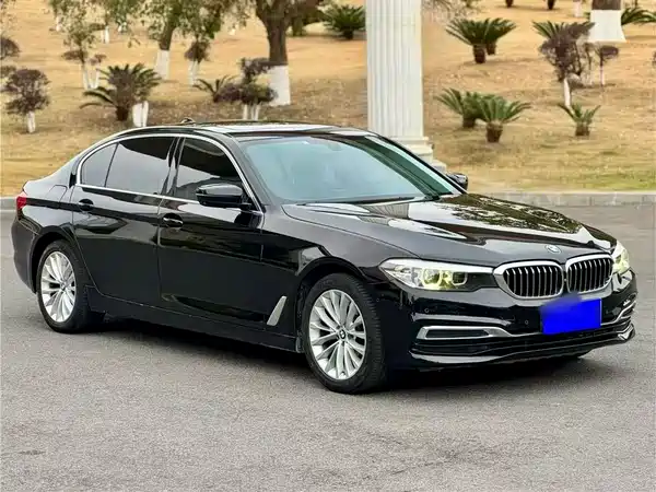 BMW 5 Series 2019