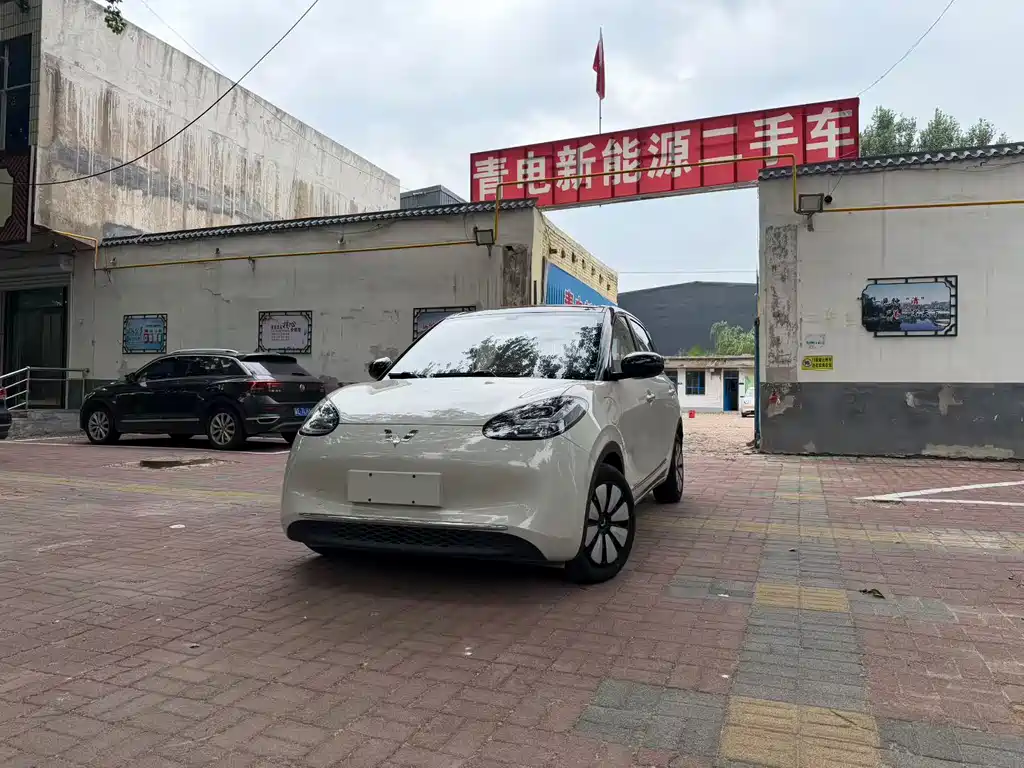 Wuling Bingo 2024