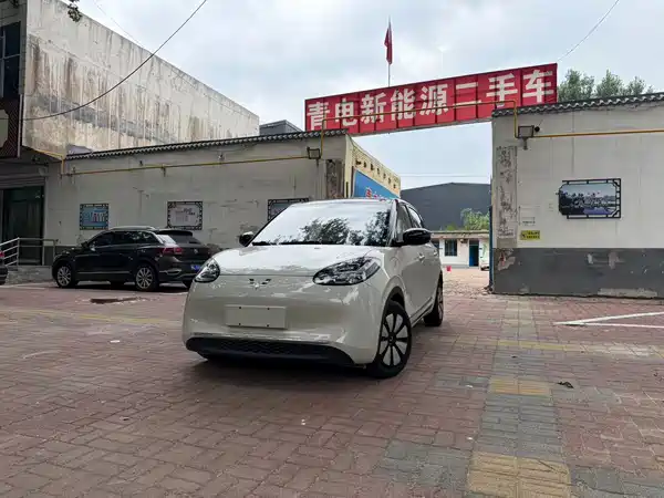 Wuling Bingo 2024