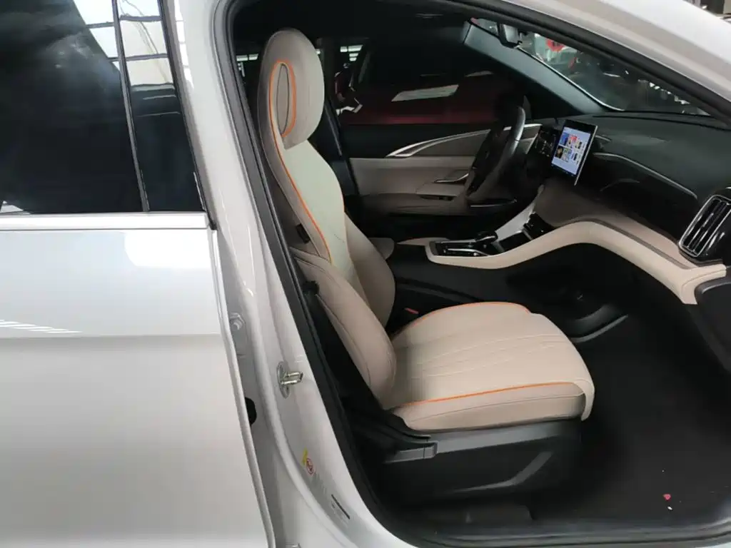 BYD Song Pro New Energy 2025 — фото 25