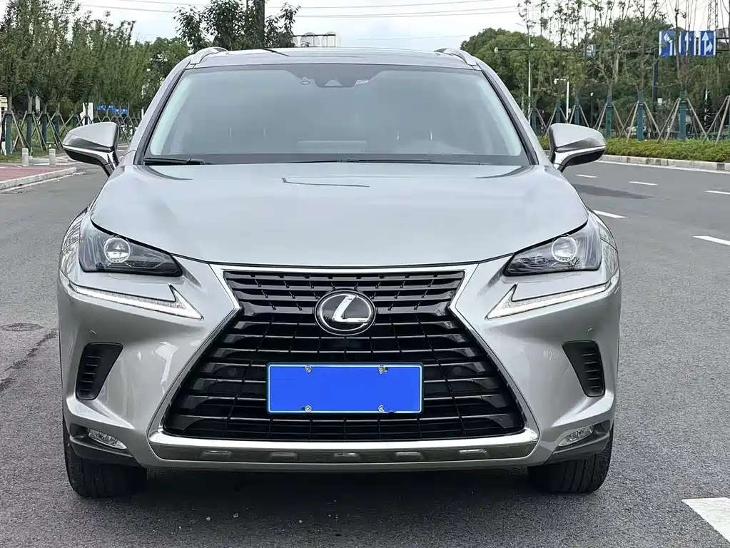 Lexus NX 2020