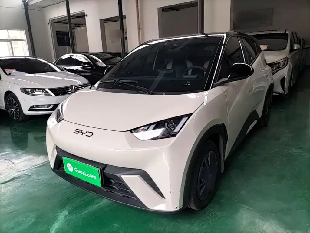 BYD Seagull 2025