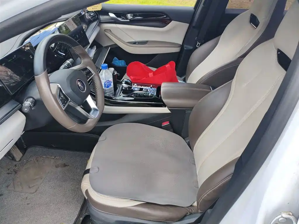 BYD Qin PLUS 2023 — фото 12