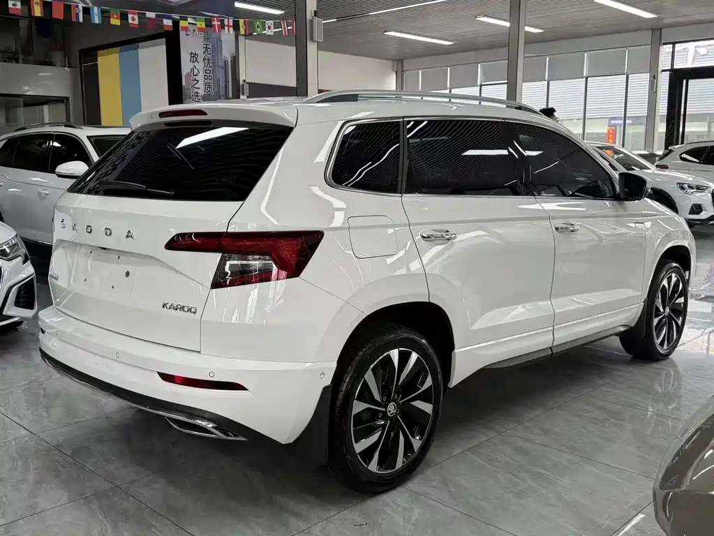 Skoda Karoq 2022 — фото 12
