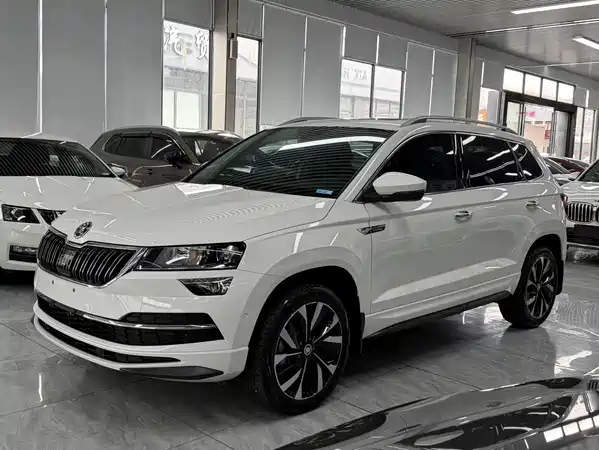 Skoda Karoq 2022